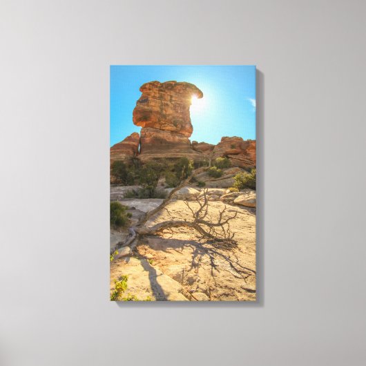 国立公園の日 キャンバスプリント (正面)