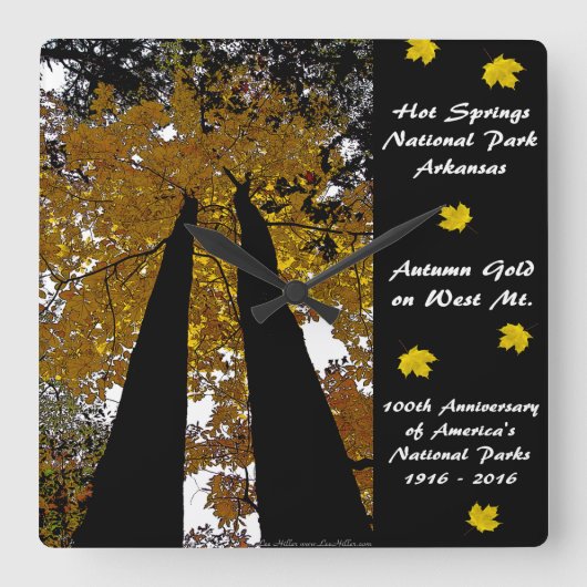 国立公園の百年間のHot Springsの秋の金ゴールド スクエア壁時計 (正面)
