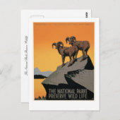 国立公園は野生生物を保護する ポストカード (正面/裏面)