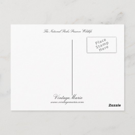 国立公園は野生生物を保護する ポストカード (裏面)