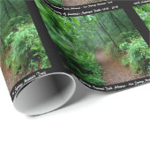 国立公園周年記念ホット春マウントトレイル ラッピングペーパー (ロールコーナー)