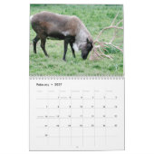 国立公園野生動物写真カレンダー カレンダー (2月 2027)
