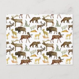 国立公園野生動物用はがき ポストカード