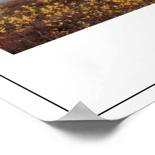 国立公園 ポスター (角)