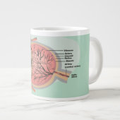 国立眼鏡月の目気に図 ジャンボコーヒーマグカップ (正面右)