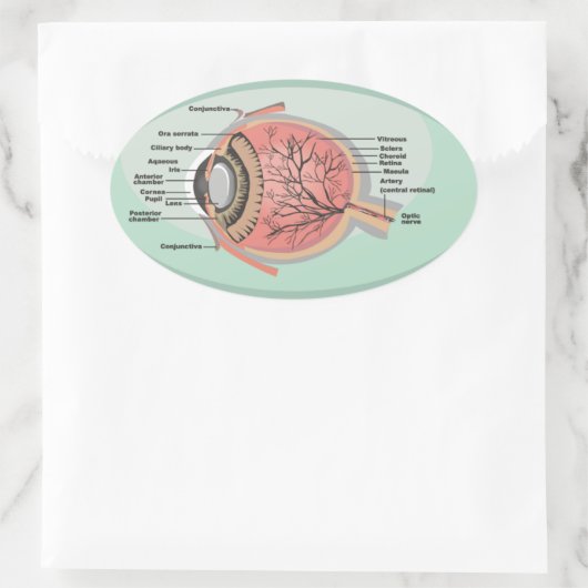 国立眼鏡月の目気に図 楕円形シール (バッグ)