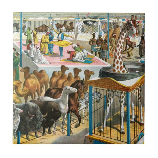 国籍を持つ人々のサーカス違うポスター タイル (正面)