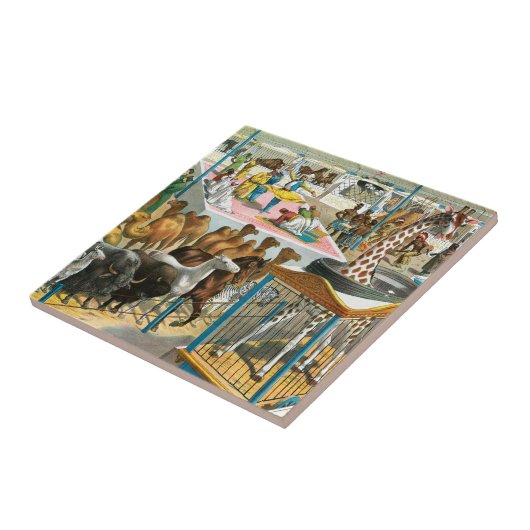 国籍を持つ人々のサーカス違うポスター タイル (側面)