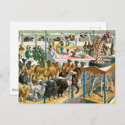 国籍を持つ人々のサーカス違うポスター ポストカード (正面/裏面)