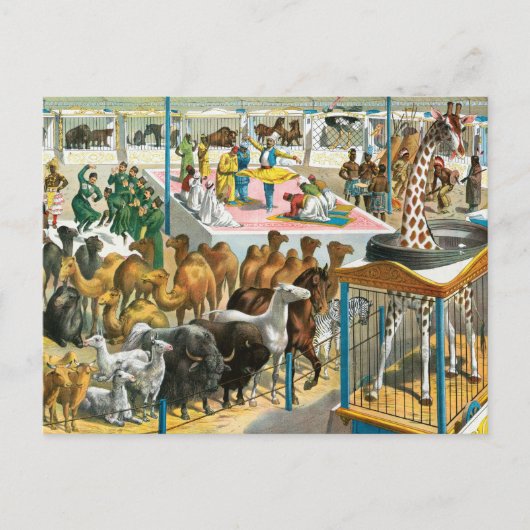 国籍を持つ人々のサーカス違うポスター ポストカード (正面)