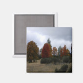 国紅葉...... マグネット (正面/裏面)