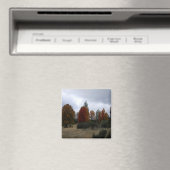 国紅葉...... マグネット (インサイチュ (食洗機))