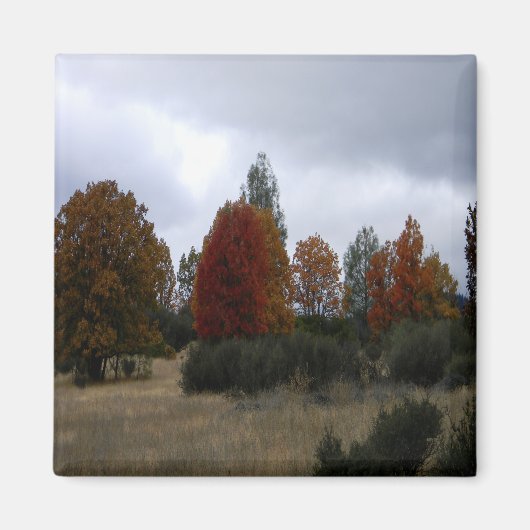 国紅葉...... マグネット (正面)