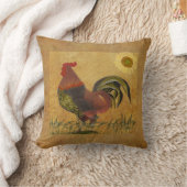 国素朴の鶏のアメリカラフルカーナ クッション (ブランケット)