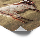 国素朴写真高原牛 ポスター (角)