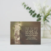 国素朴日付を樺の木ツリーで保存 案内ポストカード (スタンド正面)