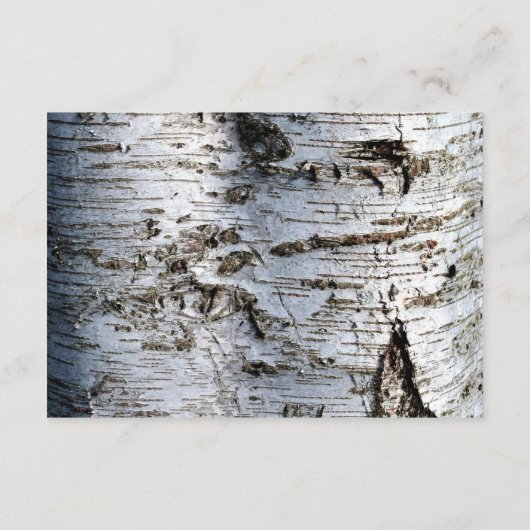 国素朴樺の木ツリー結婚の詳細挿入 エンクロージャーカード (裏面)