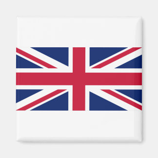 国統一された旗 マグネット