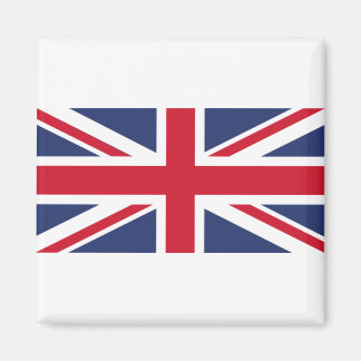 国統一された旗 マグネット