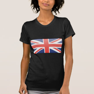 国統一された旗 Tシャツ