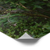 国花 ポスター (角)