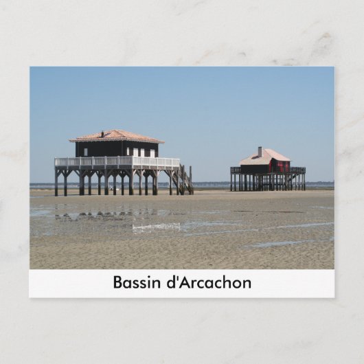 国連の記念品 ポストカード (正面)