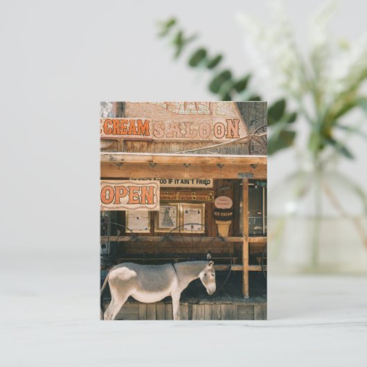 国道66号 ポストカード (スタンド正面)