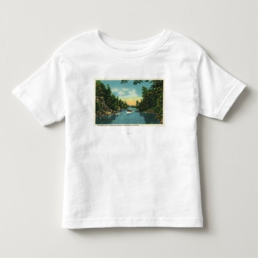 国際的な切れ間の眺め トドラーTシャツ (正面)