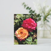 国際的バラテストガーデン,ポートランド,オレゴン州P ポストカード (スタンド正面)