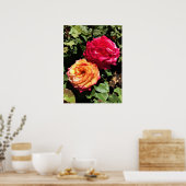 国際的バラテストガーデン，ポートランド，オレゴン ポスター (キッチン)