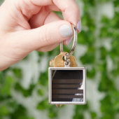 国際的宇宙ステーションのアレ太陽のアパネル キーホルダー (手)