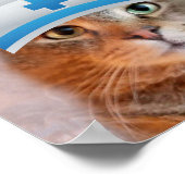 国際的看護デーかわいい猫 ポスター (角)