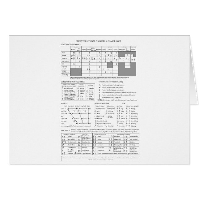 国際音声記号 (正面横)