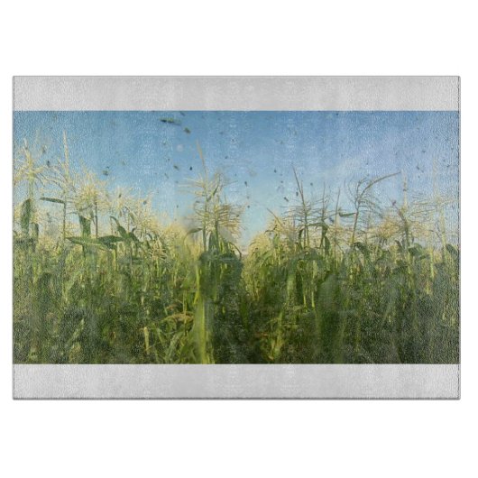 国40のガラス製切削板 カッティングボード (正面)