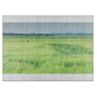 国81ガラス切削板 カッティングボード