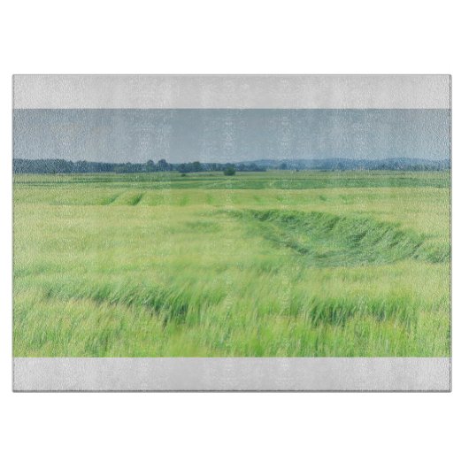 国81ガラス切削板 カッティングボード (正面)