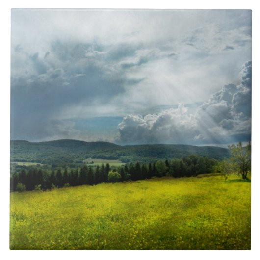 国-永遠の希望 タイル (正面)