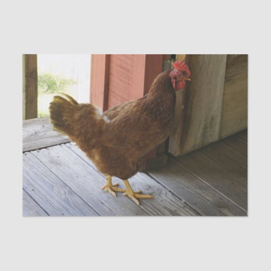 国 薄葉紙 (正面)