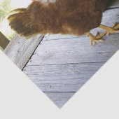 国 薄葉紙 (詳細)