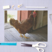 国 薄葉紙 (クラフト)