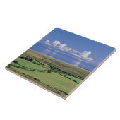 圃場の全景は湖に近づきます タイル (側面)