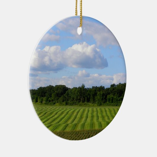 圃場の写真を収穫しているストライプのな土地の農家 セラミックオーナメント (右)