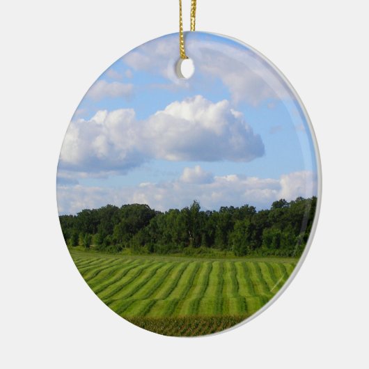 圃場の写真を収穫しているストライプのな土地の農家 セラミックオーナメント (左)