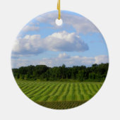 圃場の写真を収穫しているストライプのな土地の農家 セラミックオーナメント (裏面)