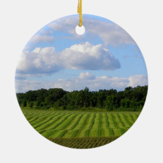 圃場の写真を収穫しているストライプのな土地の農家 セラミックオーナメント (裏面)