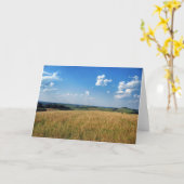 圃場の眺め カード (黄色い花)
