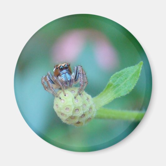 園友よ！ マグネット (正面)