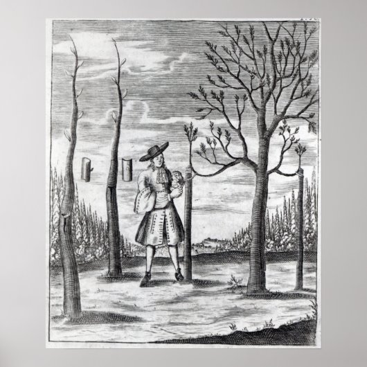 園芸と植物の病気 ポスター (正面)