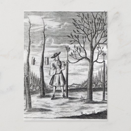 園芸と植物の病気 ポストカード (正面)