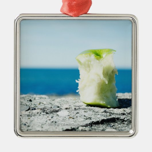 土のAppleの中心 メタルオーナメント (正面)